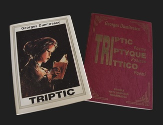 Triptic book click to view slides show
